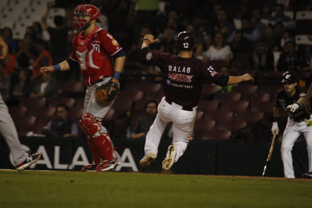 CON GRAN APORTE DE SOLIS, TOMATEROS APALEA