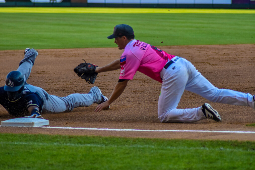 PARA LOS VISITANTES EL TERCERO DE LA SERIE ROSA
