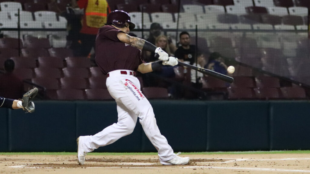 SEMANA DE BATAZOS PARA NUESTROS TOMATEROS EN VERANO